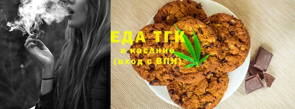 дмт Алзамай