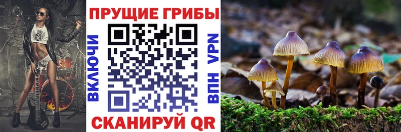 Галлюциногенные грибы прущие грибы  KRAKEN зеркало  Изобильный 